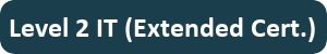 View Level 2 IT (Extended Certificate)